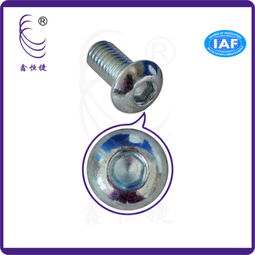 專業解析 內六角盤頭螺絲M6、鉆尾自轉螺絲及其工廠供應